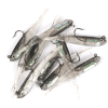 10pcs Small Gray Fish Lure Soft Bait